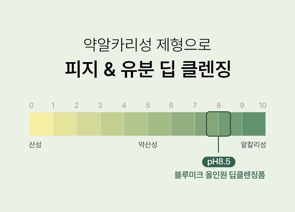 블루미크 마이크로바이옴 클렌징폼 19